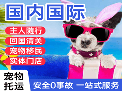浦东机场货运国际宠物托运 【国